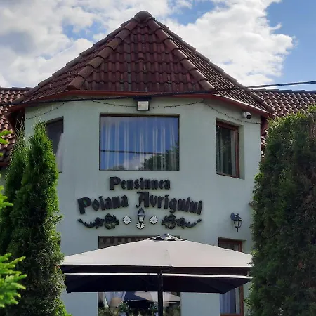 Pensiunea Poiana Avrigului 4* Avrig