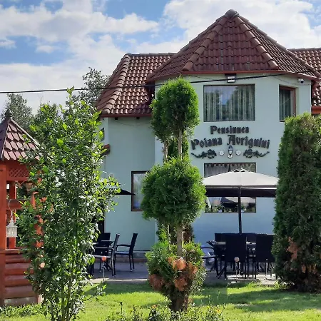 Guest house Pensiunea Poiana Avrigului