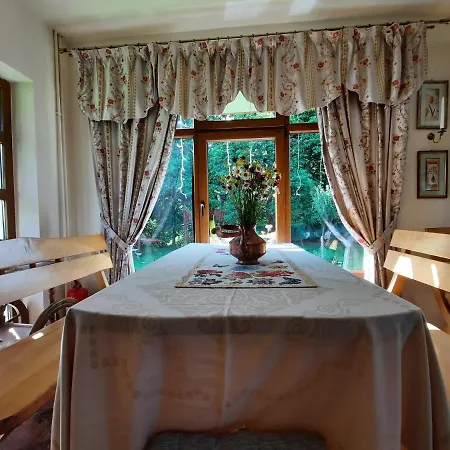 Guest house Pensiunea Poiana Avrigului