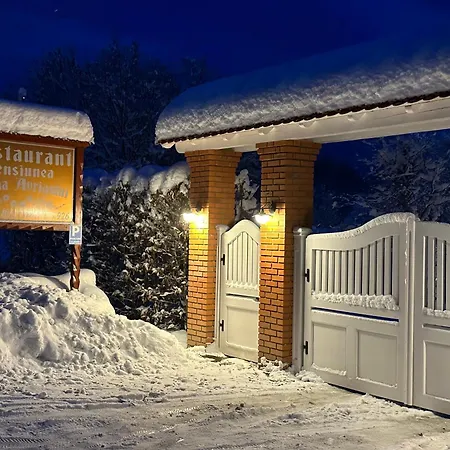 Pensjonat Pensiunea Poiana Avrigului Avrig