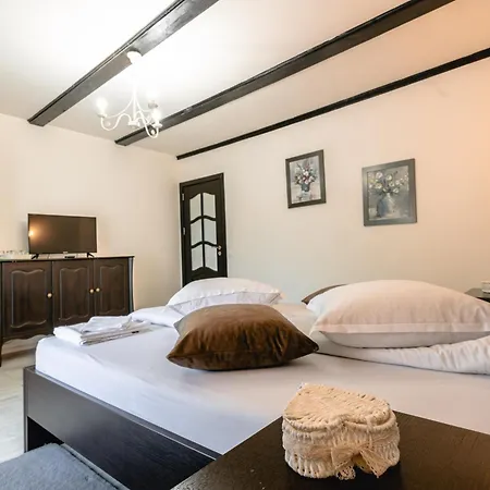 Pensiunea Poiana Avrigului Guest house Avrig