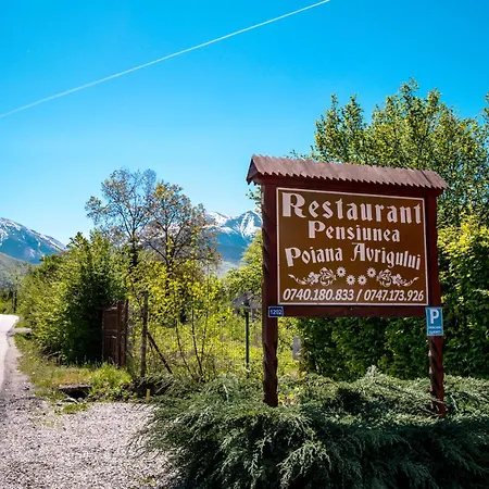 Pensiunea Poiana Avrigului 4*