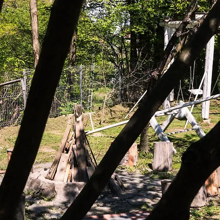 Pensiunea Poiana Avrigului 4* Avrig