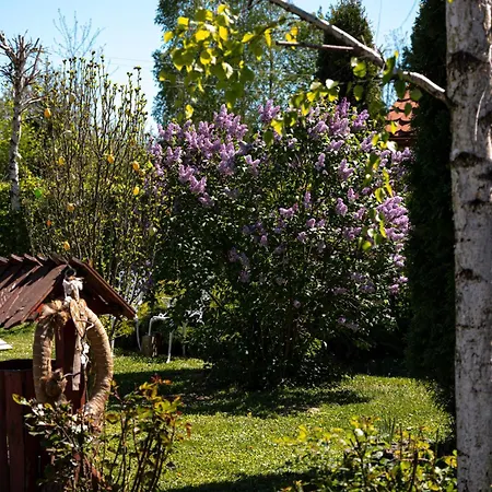 Guest house Pensiunea Poiana Avrigului 4*