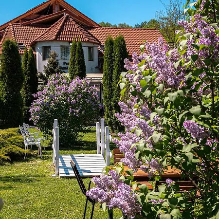 Pensiunea Poiana Avrigului 4*