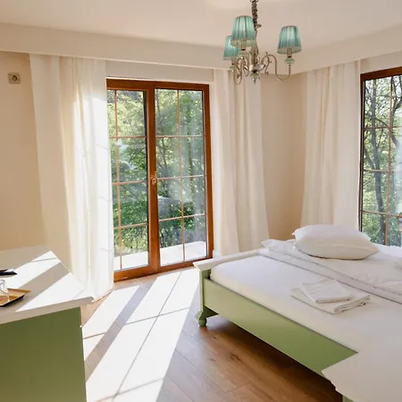 Pensiunea Poiana Avrigului Pensjonat 4*